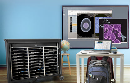 HP - Unidad de disco - DVD-RW - USB - externo - para HP 245 G10 Notebook Elite x360 EliteBook 830 G10 Notebook Pro x360 Guatemala