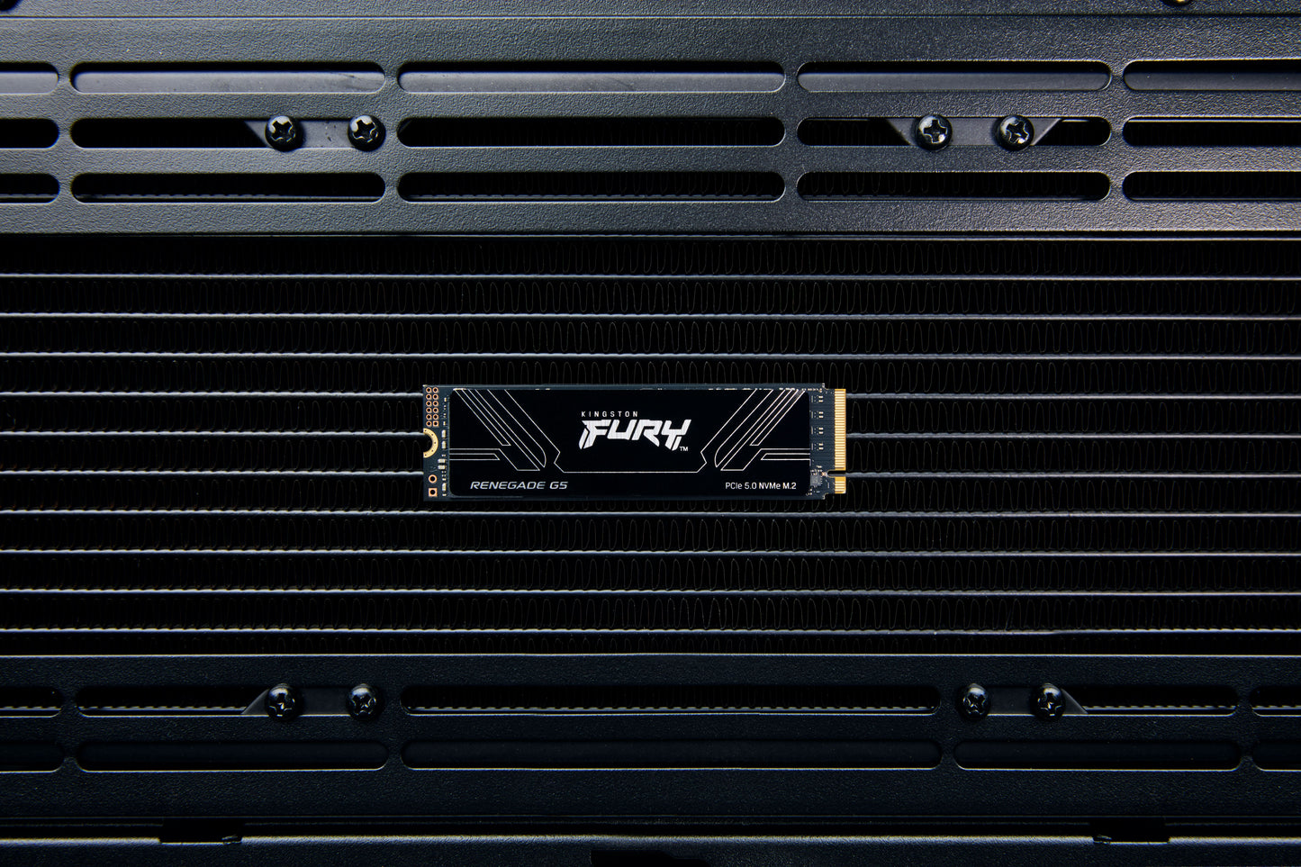 Kingston FURY - Internal hard drive - 2 TB - Solid state drive Guatemala
