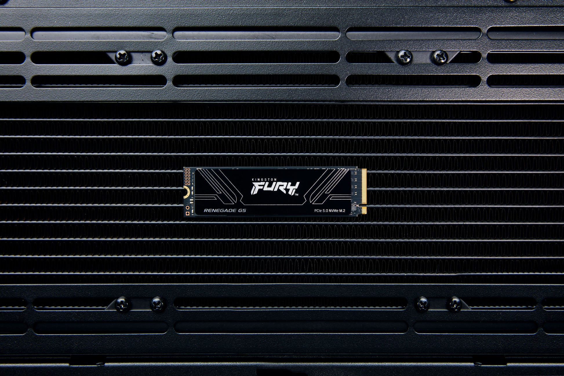 Kingston FURY - Internal hard drive - 2 TB - Solid state drive Guatemala