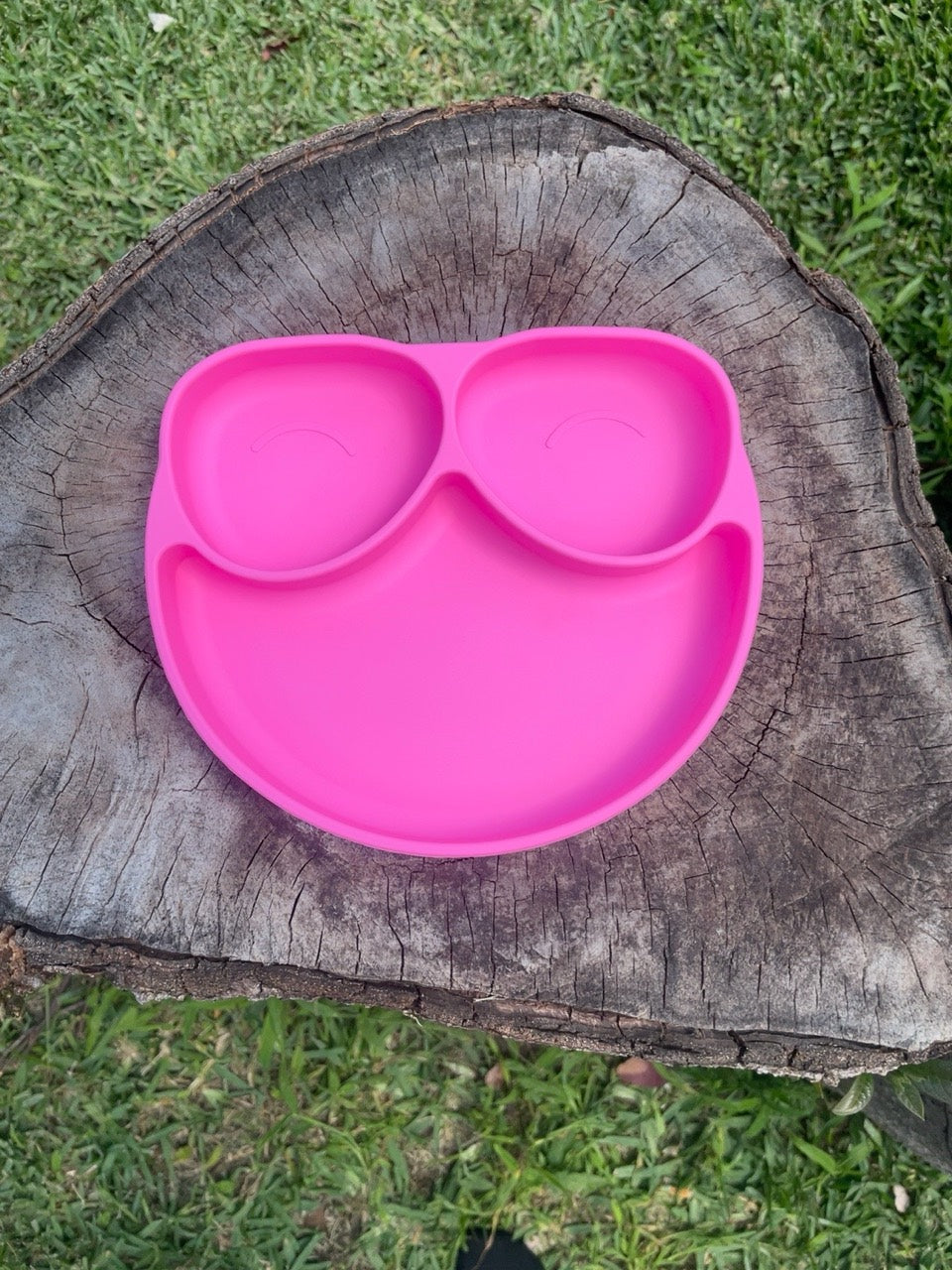 Fotografía original del plato rosado