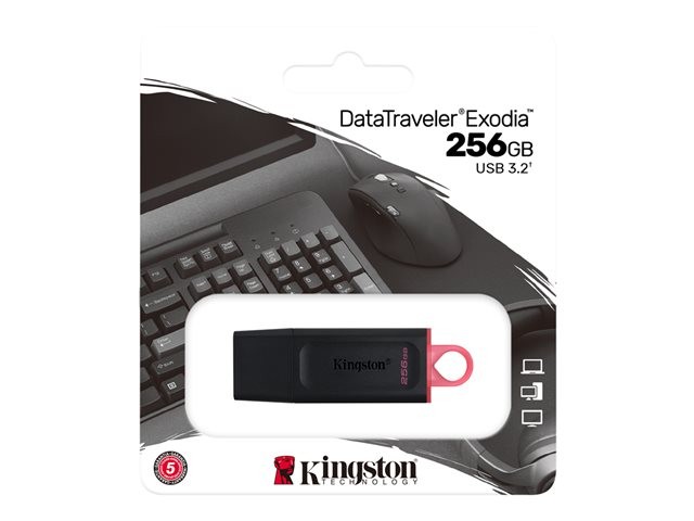 Kingston DataTraveler Exodia - Unidad flash USB - 256 GB