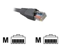 Nexxt - Cable de interconexión - RJ-45 (M) a RJ-45 (M) 2.1 m
